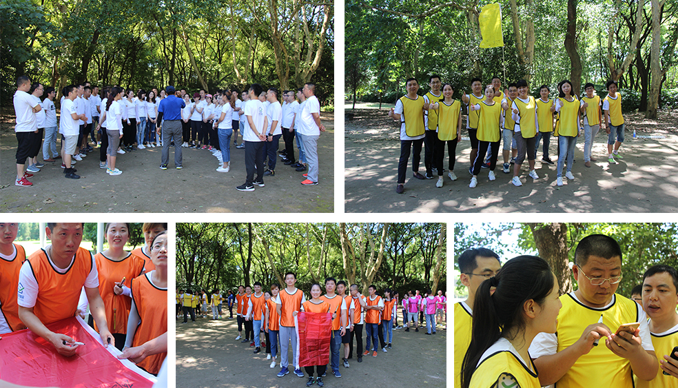 龍勝管拓展訓練燃爆夏日，我們“激情不減，活力無限”