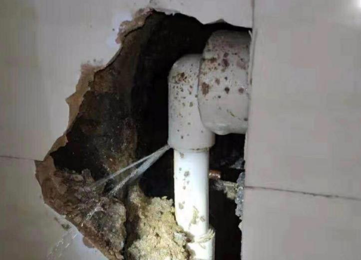 公元水管漏水包賠嗎？選購時(shí)別光看牌子！還得看它！