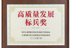 上海龍勝榮獲2022年度高質(zhì)量發(fā)展標(biāo)兵獎(jiǎng)