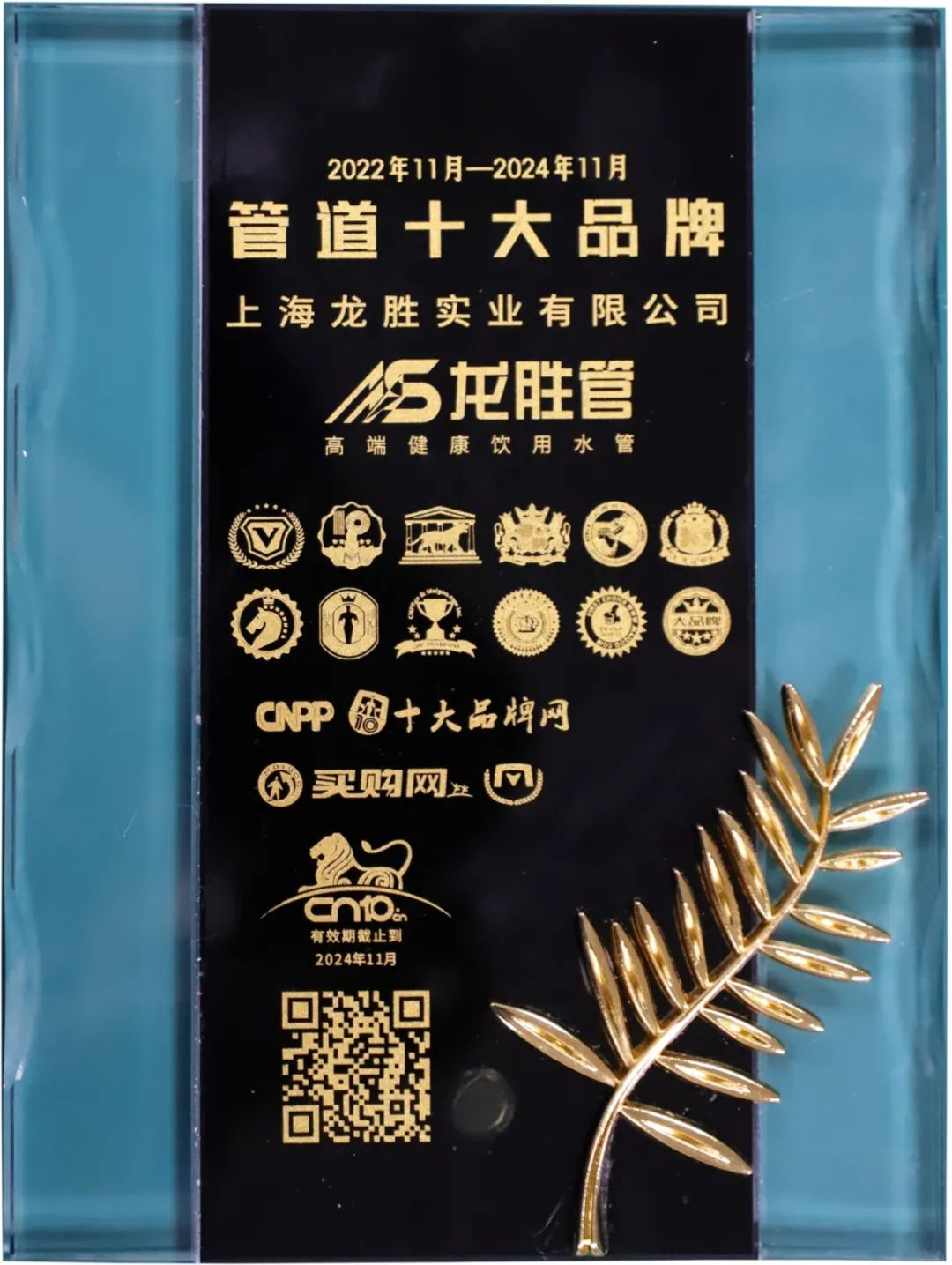 龍勝管榮獲2022-2024年度“管道十大品牌”稱號(hào) 龍勝管榮獲2022-2024年度“管道十大品牌”稱號(hào)