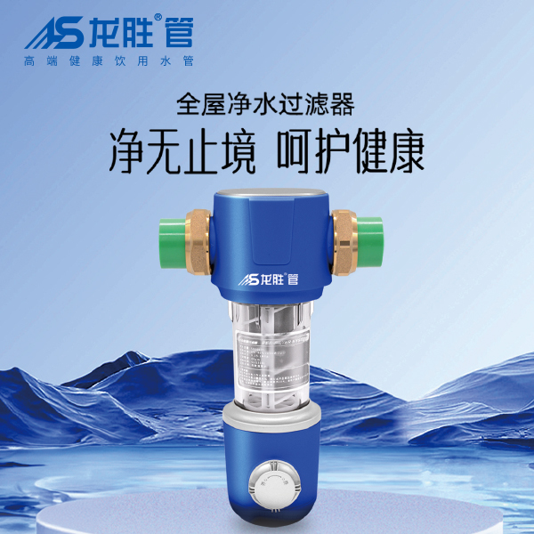 龍勝前置過濾器LS-HGS-19